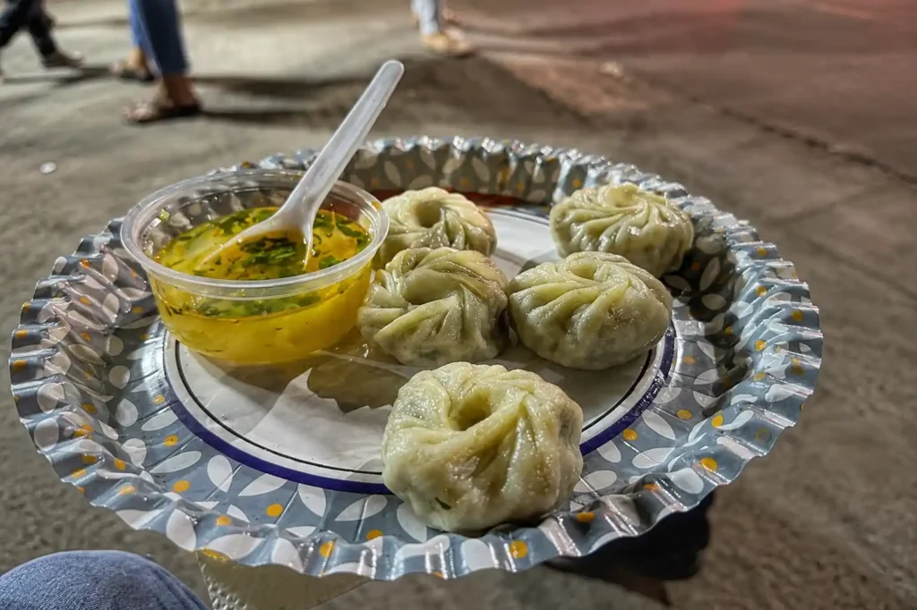 Delicious and Juicy Pan-Fried Momos in Jadavpur, Kolkata